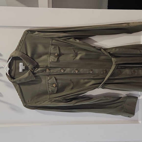 NWT Calvin Klein Button Down Dress - Picture 1 of 4